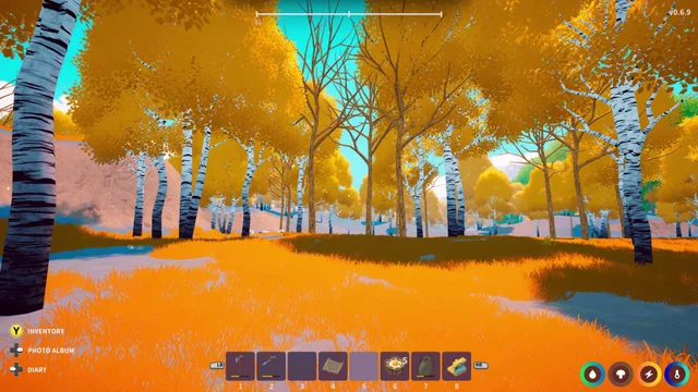 Golden birch trees and orange grass in an autumn forest