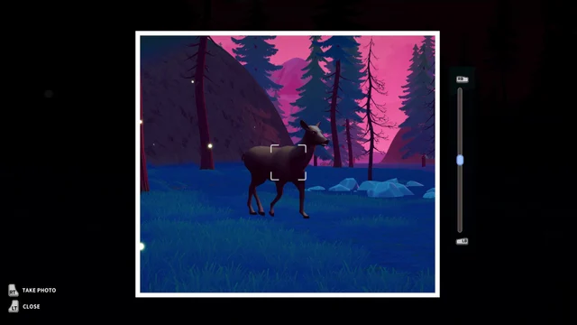 A moose seen through a camera viewfinder against a pink evening sky