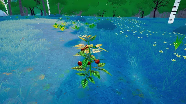 Tomato plants growing in a sunny clearing