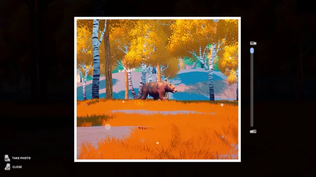 A bear framed in the camera viewfinder among golden birch trees